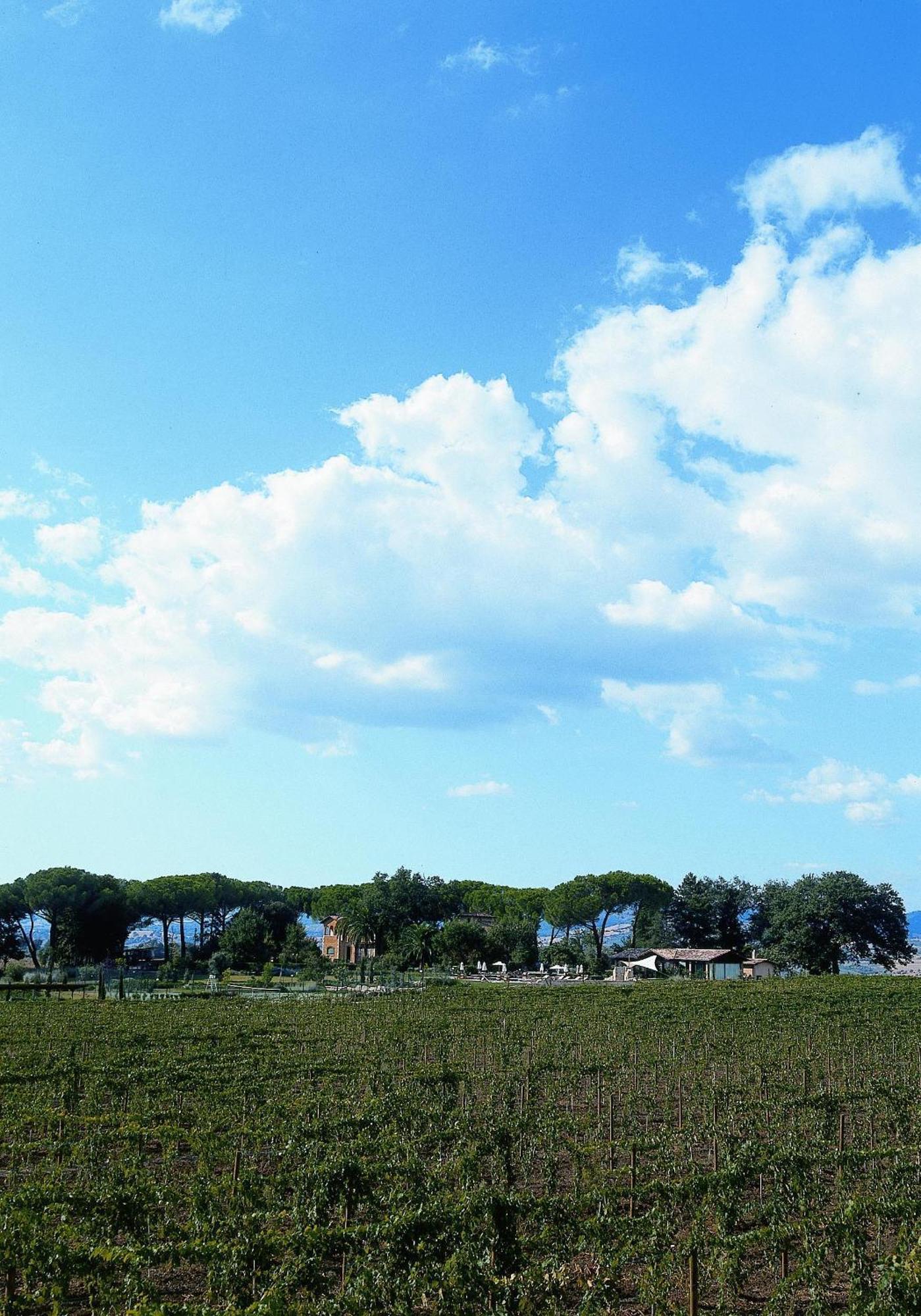 Villa Acquaviva Wine Resort Монтемерано Екстер'єр фото