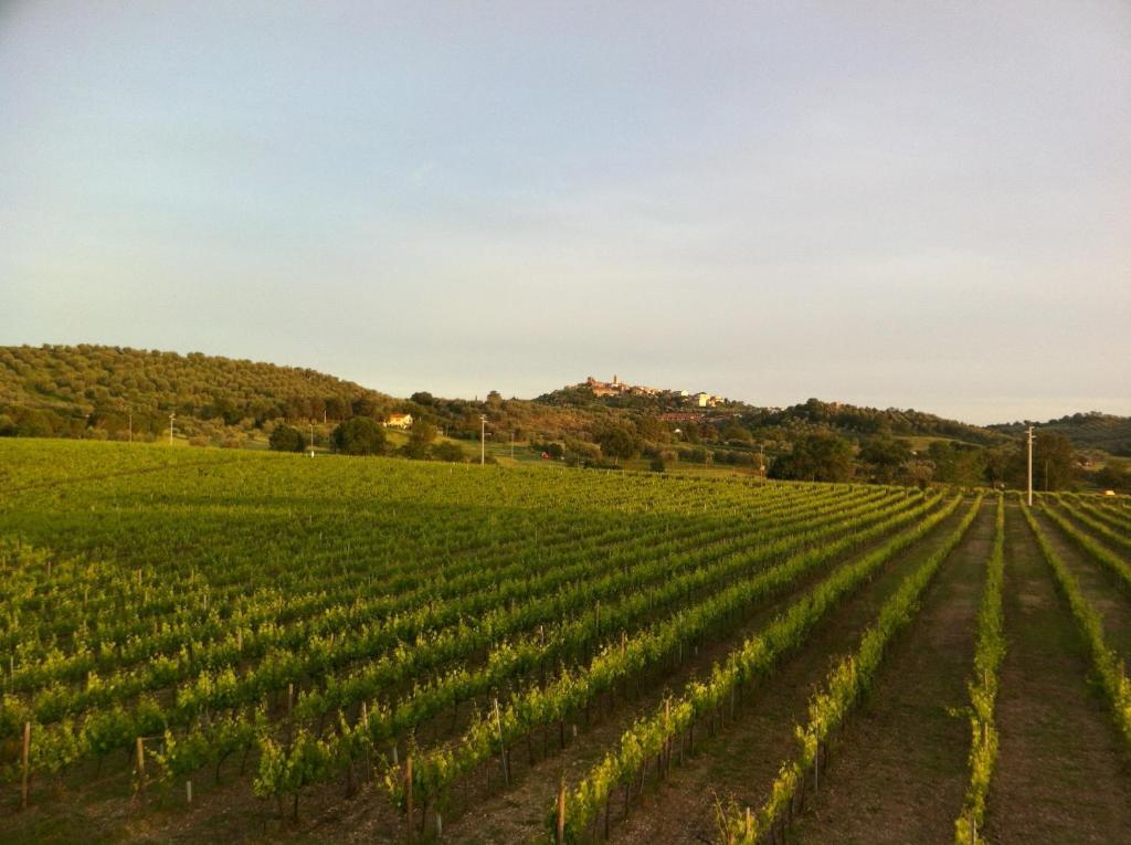 Villa Acquaviva Wine Resort Монтемерано Екстер'єр фото